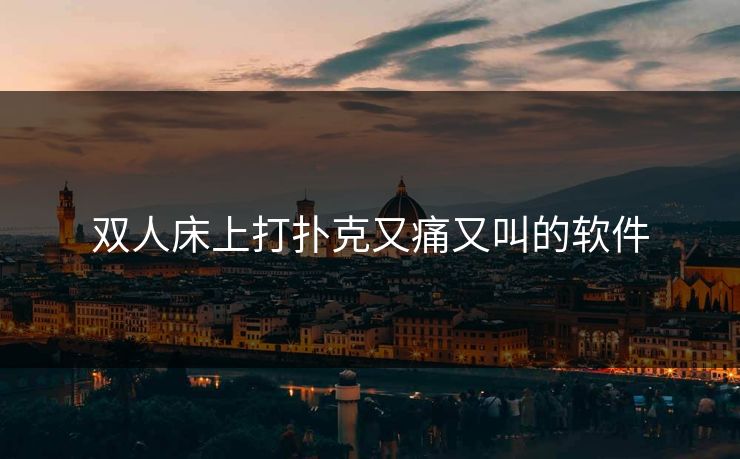双人床上打扑克又痛又叫的软件