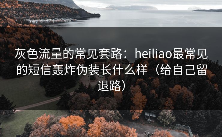 灰色流量的常见套路：heiliao最常见的短信轰炸伪装长什么样（给自己留退路）