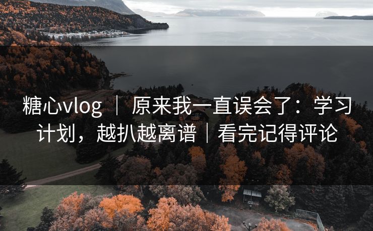 糖心vlog | 原来我一直误会了:学习计划,越扒越离谱|看完记得评论 糖心vlog | 原来我一直误会了:学习计划,越扒越离谱|看完记得评论