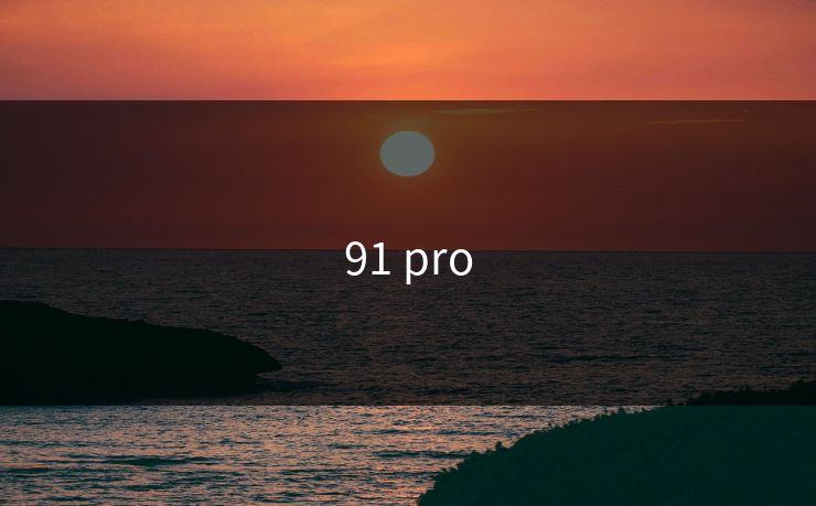 91 pro