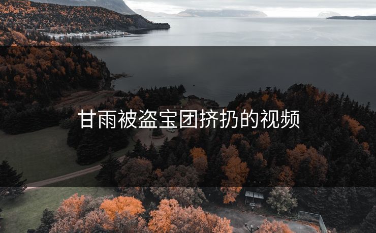 甘雨被盗宝团挤扔的视频