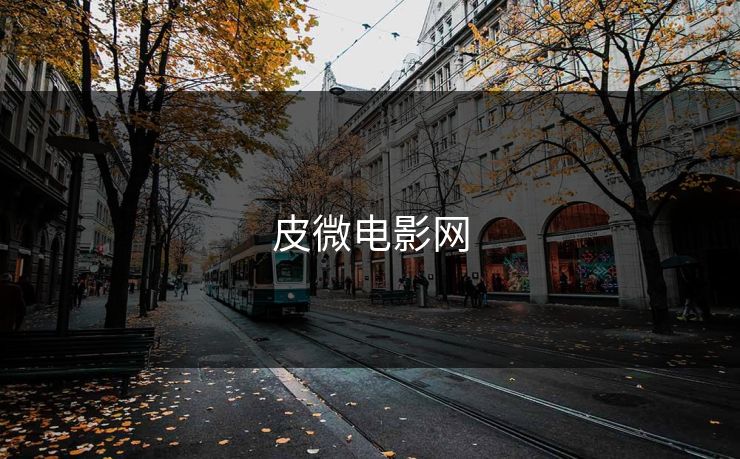 皮微电影网