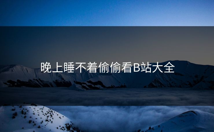 晚上睡不着偷偷看B站大全