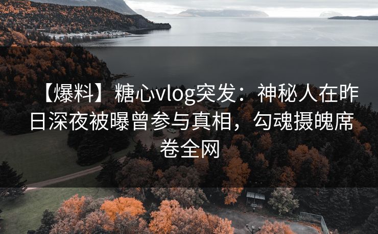 【爆料】糖心vlog突发：神秘人在昨日深夜被曝曾参与真相，勾魂摄魄席卷全网