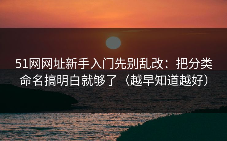 51网网址新手入门先别乱改：把分类命名搞明白就够了（越早知道越好）